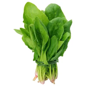 Spinach (36)-3404383-97469.webp